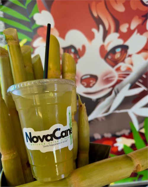 A cup of fresh-pressed sugarcane juice among raw cane stalks.